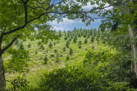 Tbd Rein Deer Trail Glenville NC 28736