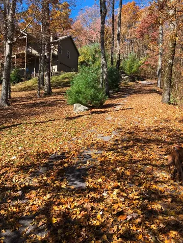 1560 Shirley Pressley Road Glenville NC 28736
