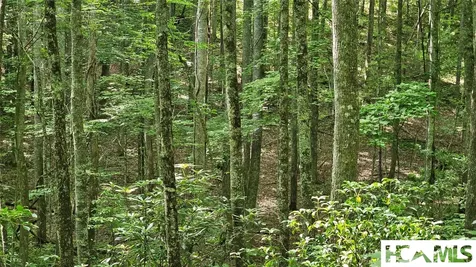 0 Grandaddy Still Road Scaly Mountain NC 28775