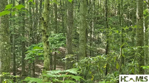 0 Grandaddy Still Road Scaly Mountain NC 28775