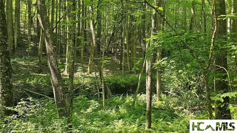 0 Grandaddy Still Road Scaly Mountain NC 28775