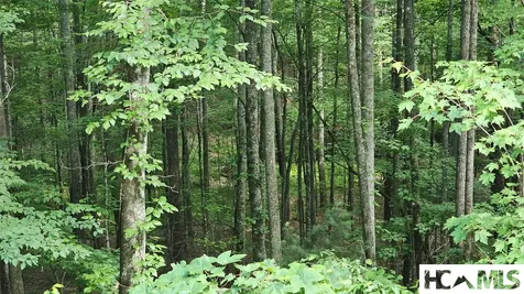 0 Grandaddy Still Road Scaly Mountain NC 28775