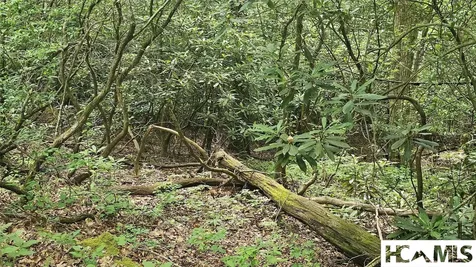 0 Grandaddy Still Road Scaly Mountain NC 28775