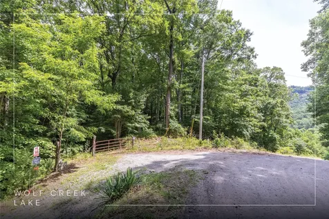 16C Vess Owen Road Tuckasegee NC 28783