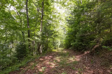 16C Vess Owen Road Tuckasegee NC 28783
