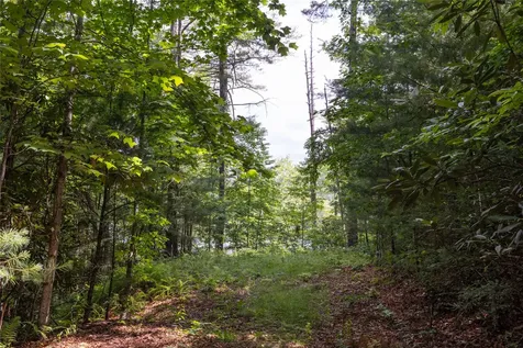 16C Vess Owen Road Tuckasegee NC 28783