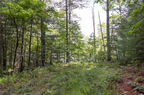 16C Vess Owen Road Tuckasegee NC 28783