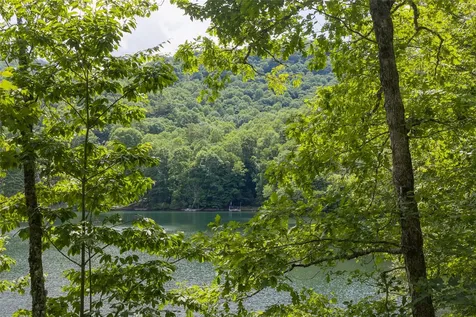 16C Vess Owen Road Tuckasegee NC 28783