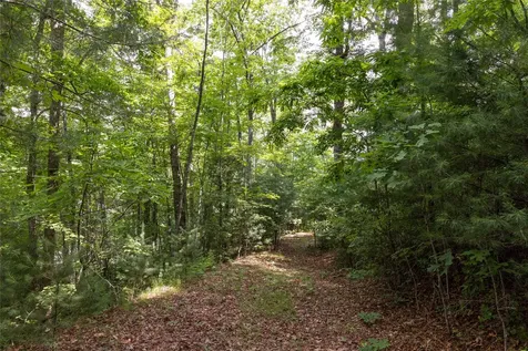 16C Vess Owen Road Tuckasegee NC 28783
