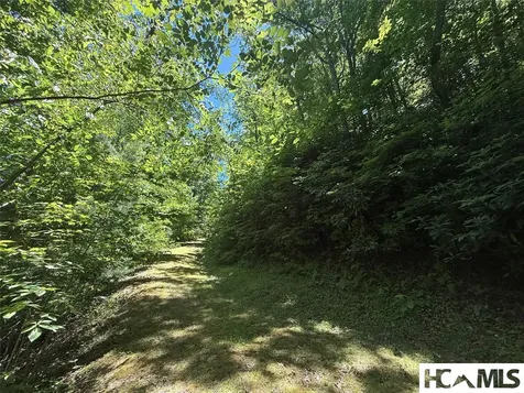 Lot 55 Pilot Mountain Glenville NC 28736