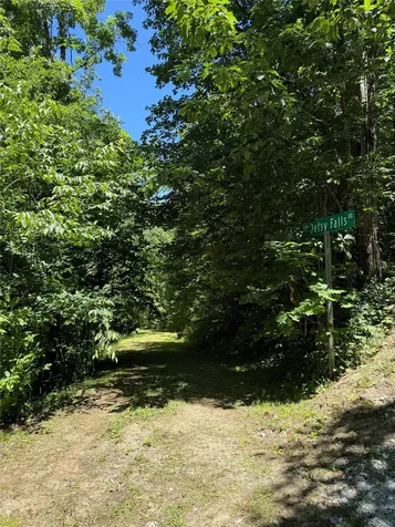 Lot 55 Pilot Mountain Glenville NC 28736
