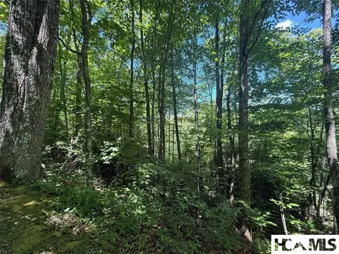 Lot 55 Pilot Mountain Glenville NC 28736
