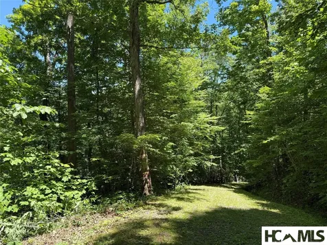 Lot 55 Pilot Mountain Glenville NC 28736