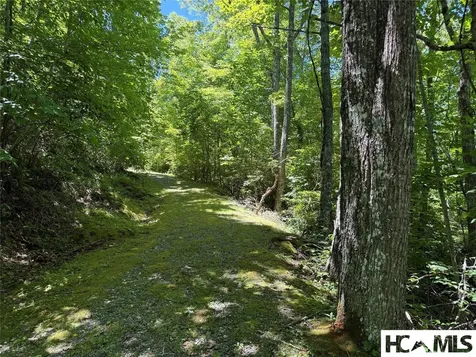 Lot 55 Pilot Mountain Glenville NC 28736