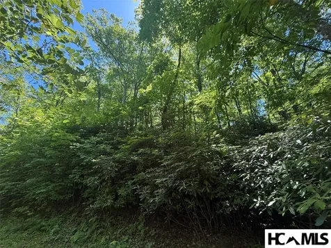 Lot 55 Pilot Mountain Glenville NC 28736