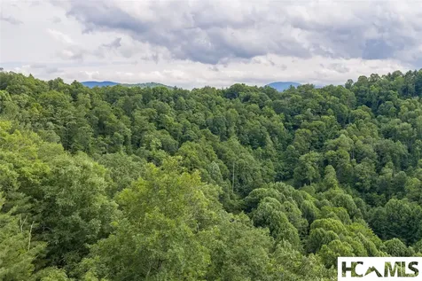 50/50B Winter Green Drive Glenville NC 28736