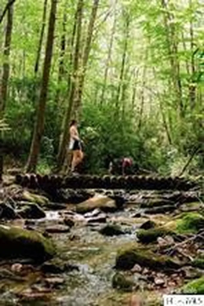 85 Southshore Drive Tuckasegee NC 28783