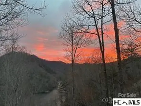 85 Southshore Drive Tuckasegee NC 28783