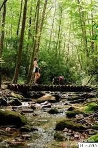 85 Southshore Drive Tuckasegee NC 28783