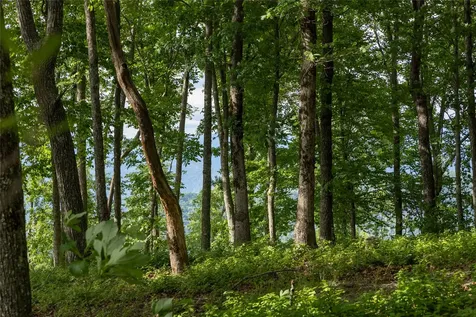 Lot 29 Bullbriar Drive Glenville NC 28736