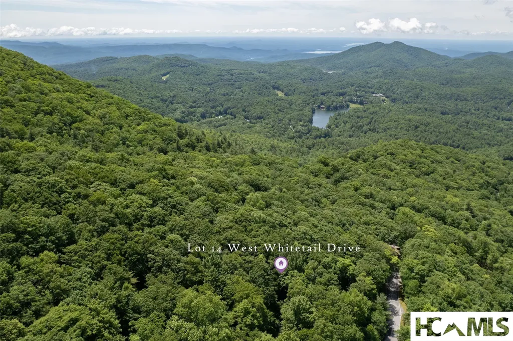 14 W Whitetail Drive Sapphire NC 28774