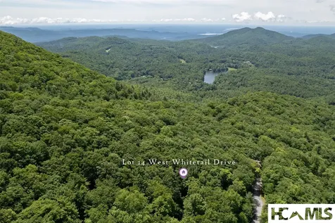14 W Whitetail Drive Sapphire NC 28774