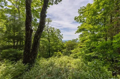 14 W Whitetail Drive Sapphire NC 28774