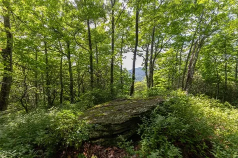 14 W Whitetail Drive Sapphire NC 28774