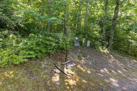 14 W Whitetail Drive Sapphire NC 28774
