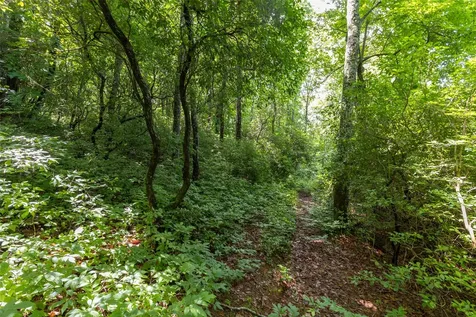 14 W Whitetail Drive Sapphire NC 28774