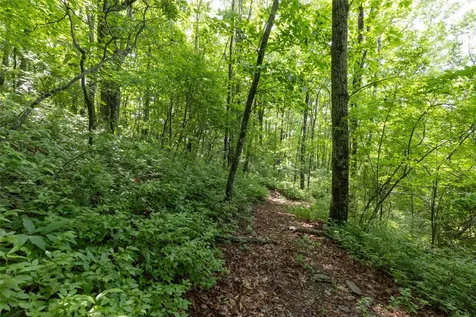 14 W Whitetail Drive Sapphire NC 28774