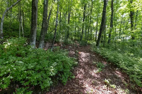 14 W Whitetail Drive Sapphire NC 28774