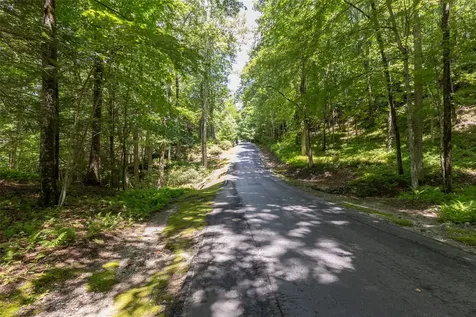 14 W Whitetail Drive Sapphire NC 28774