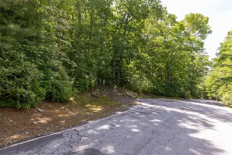 14 W Whitetail Drive Sapphire NC 28774