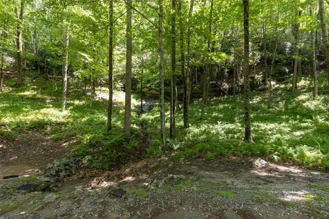14 W Whitetail Drive Sapphire NC 28774