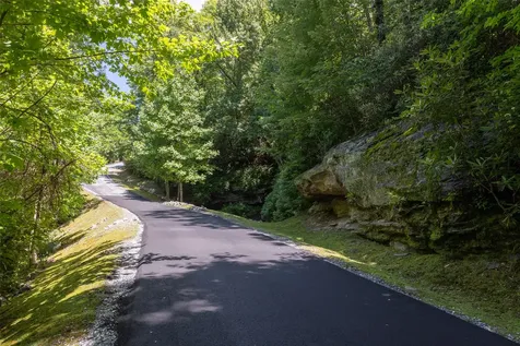 14 W Whitetail Drive Sapphire NC 28774