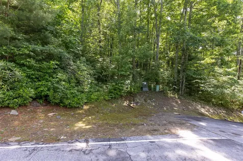 14 W Whitetail Drive Sapphire NC 28774