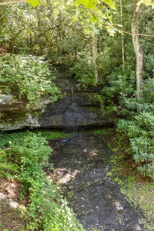 14 W Whitetail Drive Sapphire NC 28774