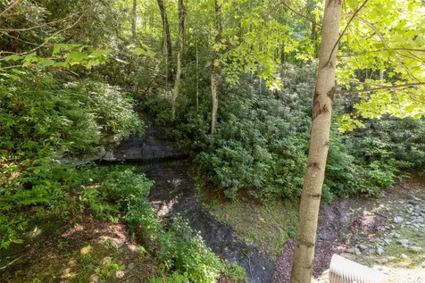 14 W Whitetail Drive Sapphire NC 28774