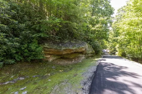 14 W Whitetail Drive Sapphire NC 28774