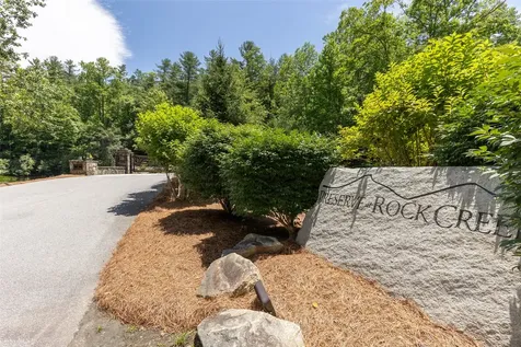 14 W Whitetail Drive Sapphire NC 28774