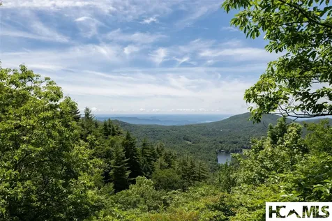 14 W Whitetail Drive Sapphire NC 28774