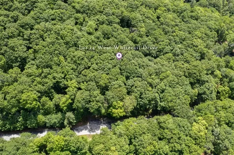 14 W Whitetail Drive Sapphire NC 28774
