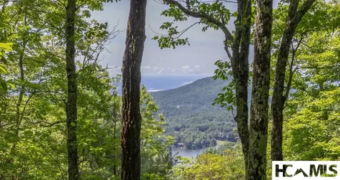14 W Whitetail Drive Sapphire NC 28774