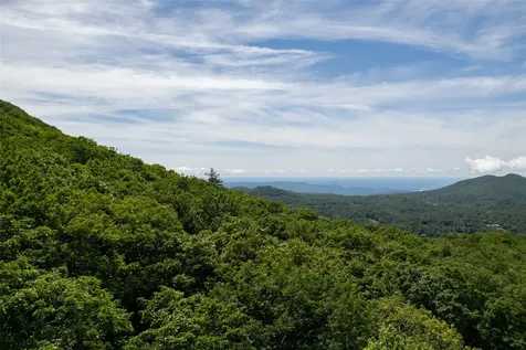 14 W Whitetail Drive Sapphire NC 28774