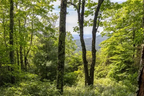 14 W Whitetail Drive Sapphire NC 28774