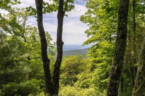 14 W Whitetail Drive Sapphire NC 28774