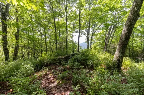 14 W Whitetail Drive Sapphire NC 28774