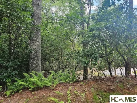171 Duff Cove Road Brevard NC 28712