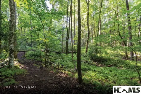 63B Big Pine Road Sapphire NC 28774